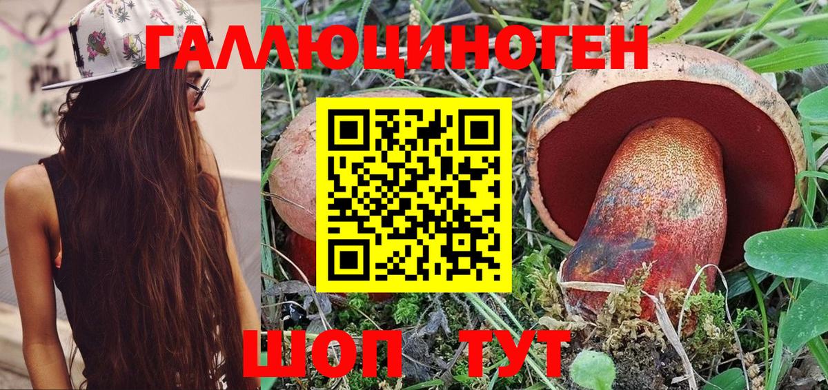 Псилоцибиновые грибы Cubensis  сколько стоит  Бердск  Вход с VPN 