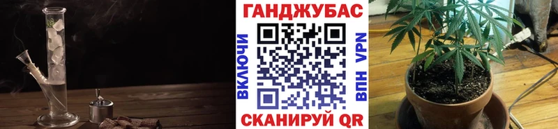 Марихуана SATIVA & INDICA  где купить наркоту  Бердск 